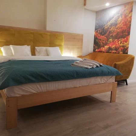 U Zrodel Bed & Breakfast Wisla Exterior photo